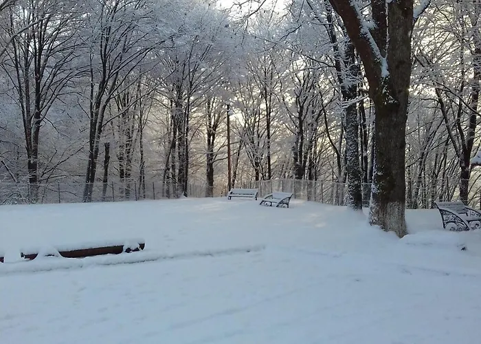 Zatyshok 酒店 斯瓦拉瓦